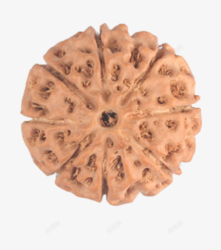 产品实物大金刚菩提子png免抠素材_新图网 https://ixintu.com 产品实物 凤眼 圆善缘金刚 大金刚菩提子 天然星月 小叶紫檀 星月 菩提子 金刚 黄花梨星月
