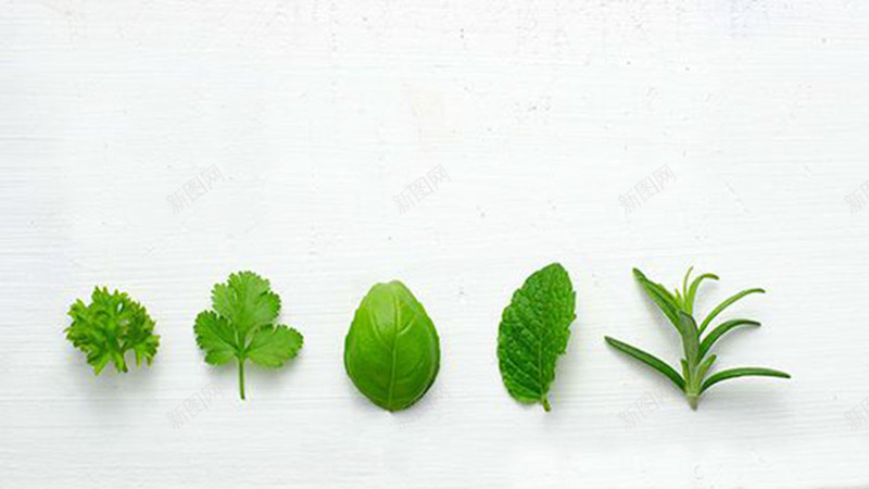 植物提神萃取png免抠素材_新图网 https://ixintu.com 养生 提神 植物萃取 纯天然 缓解疲劳 补肾 解酒