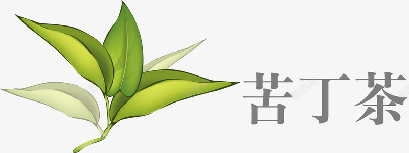 苦丁茶纯天然加工原料png免抠素材_新图网 https://ixintu.com 优质原料 化工原料 原料 叶子 天然原料 烘焙原料 纯天然加工原料