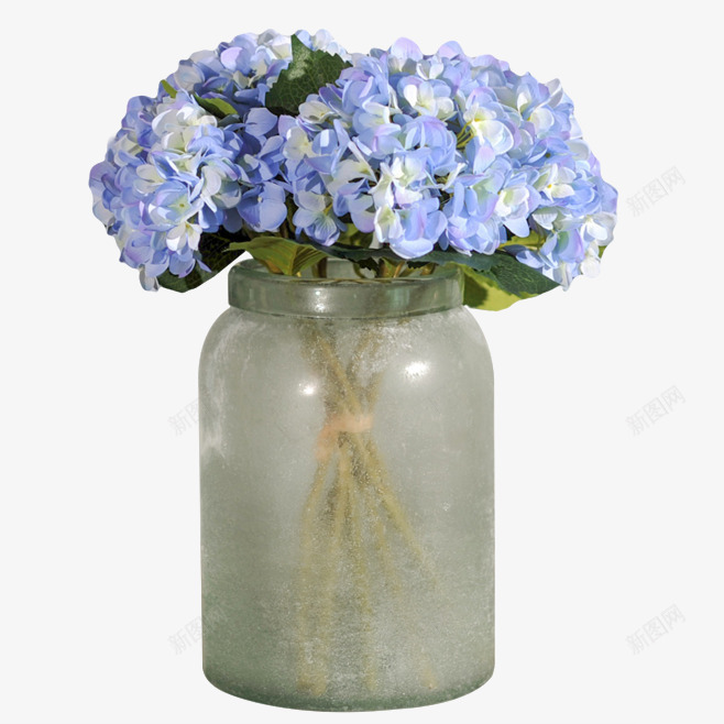 花瓶绣球花png免抠素材_新图网 https://ixintu.com 居家装饰 插花花艺 紫阳花 绣球花