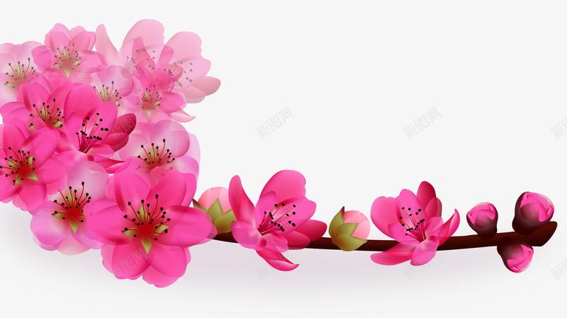 桃花边角装饰矢量图ai免抠素材_新图网 https://ixintu.com 桃花 花朵 装饰 边角 矢量图