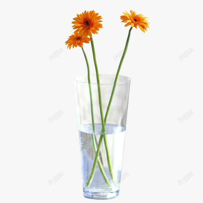 花瓶png免抠素材_新图网 https://ixintu.com 家居摆件 家居装饰家居摆件 工艺品 花卉 花瓶 鲜花