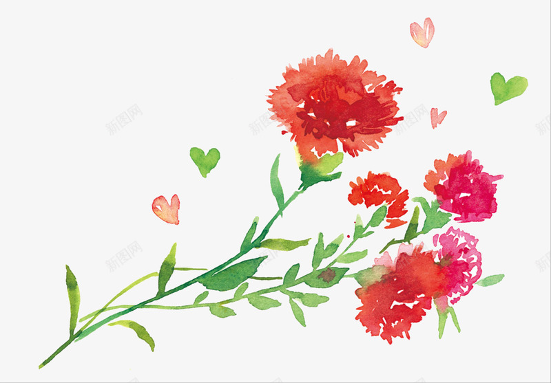 红色康乃馨png免抠素材_新图网 https://ixintu.com 康乃馨插画 感激 植物 母亲节 盛开 红色康乃馨免抠PNG 花