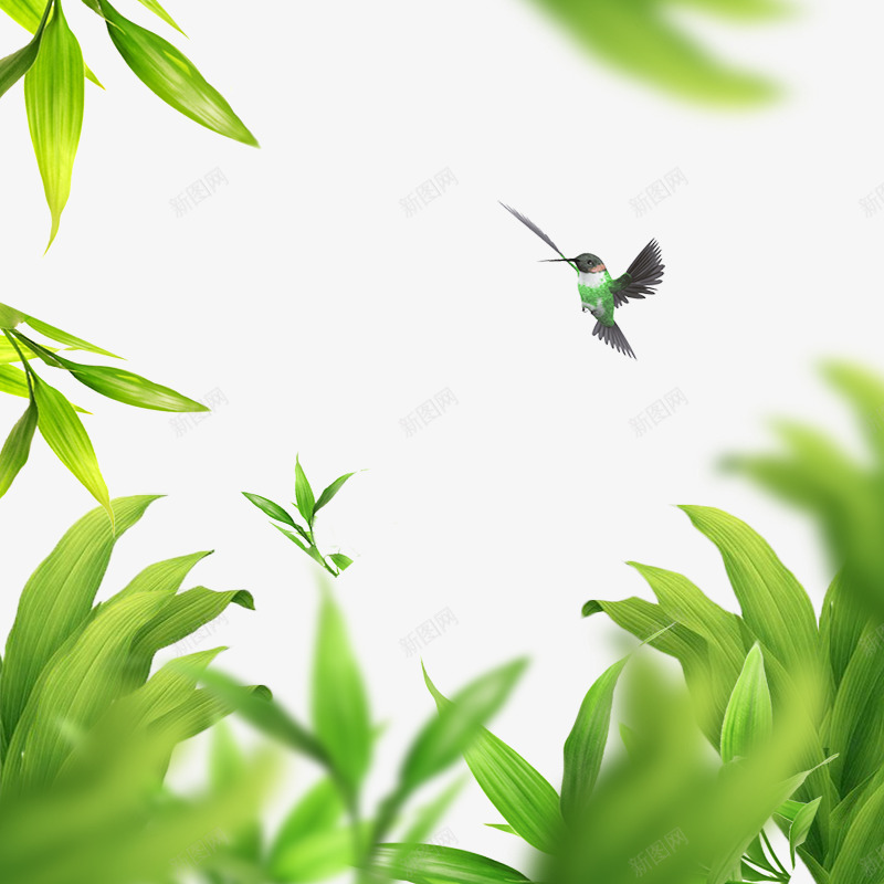 淘宝草丛背景psd免抠素材_新图网 https://ixintu.com 小鸟 淘宝背景 草丛