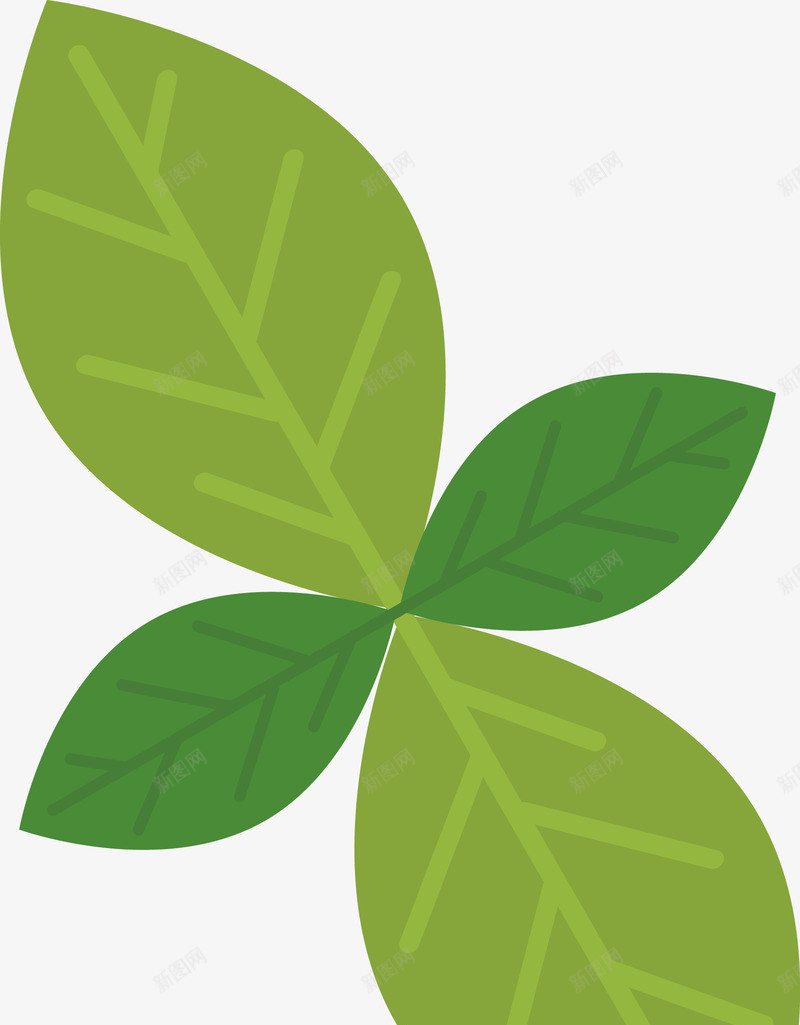 薄荷叶矢量图ai免抠素材_新图网 https://ixintu.com 绿色 调味 辅料 矢量图