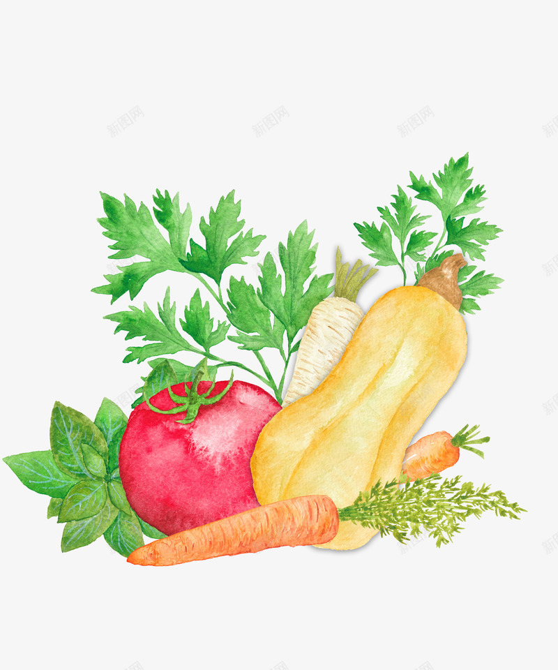 手绘蔬菜png免抠素材_新图网 https://ixintu.com 南瓜 手绘 手绘蔬菜 新鲜 胡萝卜白萝卜 蔬菜
