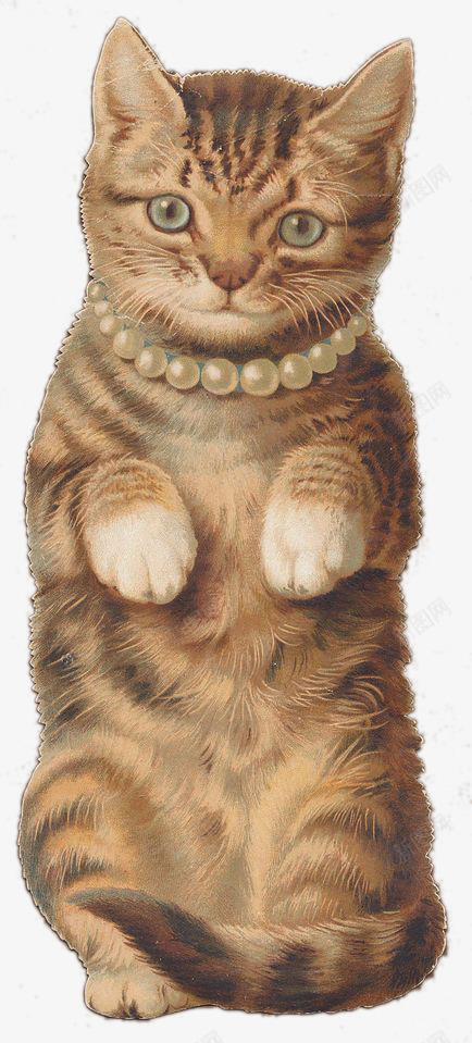 带珍珠项链的猫psd免抠素材_新图网 https://ixintu.com 可爱 家猫 边框纹理