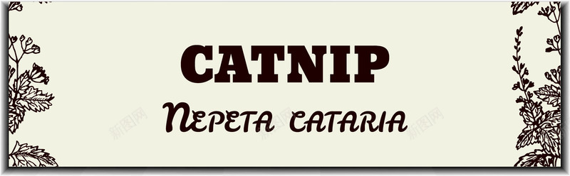 手绘猫薄荷banner矢量图ai免抠素材_新图网 https://ixintu.com banner 手绘 猫薄荷 素材 矢量图
