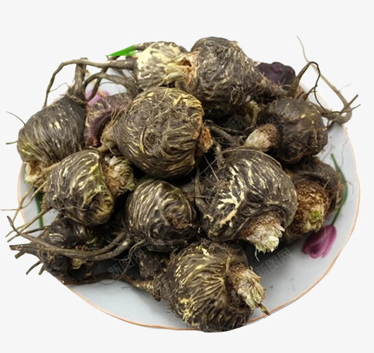 新鲜果实png免抠素材_新图网 https://ixintu.com 价格昂贵 天然晒干 效果好 顶级药材 黑玛咖