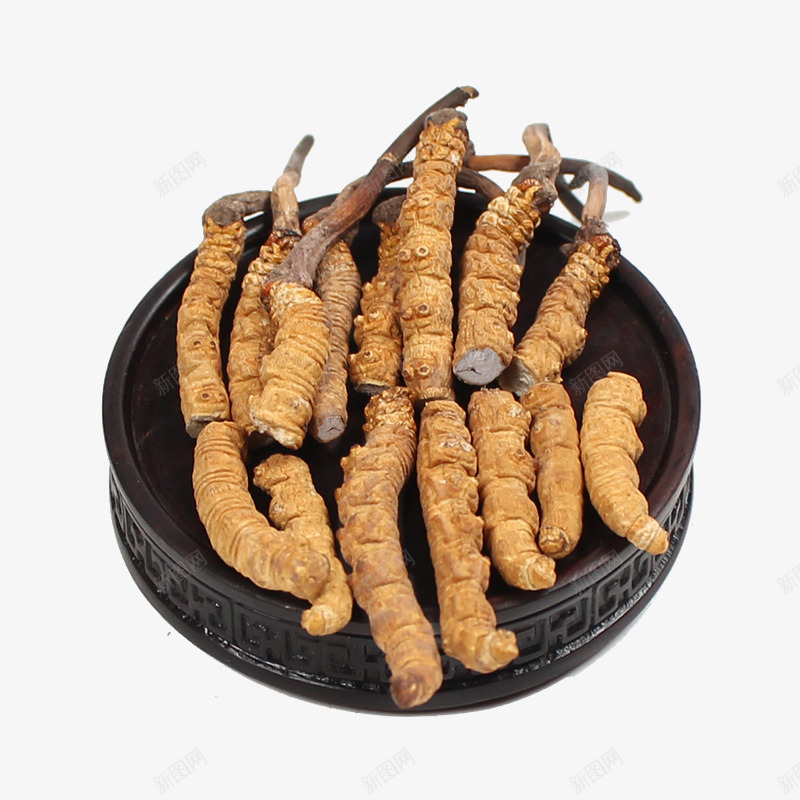 冬虫夏草断草新草png免抠素材_新图网 https://ixintu.com 中华人民共和国西藏自治区 中国西藏 中药 中药材 产品实物 纯天然 药材 虫草 西藏那曲 道地虫草 野生