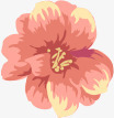 花png免抠素材_新图网 https://ixintu.com 水彩花朵 盛开的花朵 粉色花朵 花卉