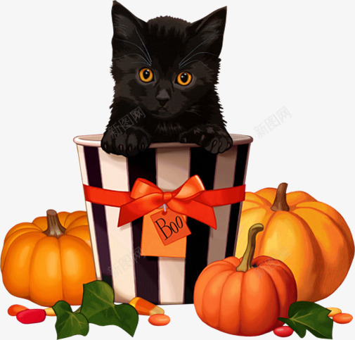 万圣节南瓜黑猫3png免抠素材_新图网 https://ixintu.com 万圣节 南瓜 猫 节日