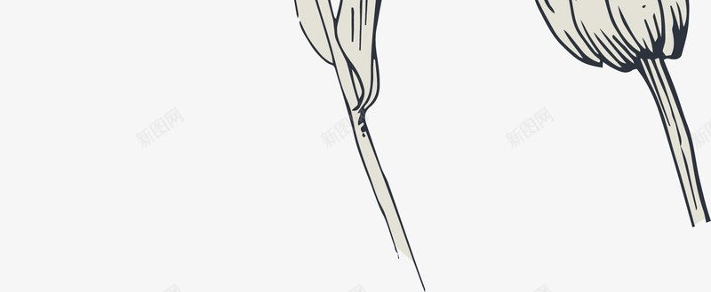 手绘麦穗和花朵png免抠素材_新图网 https://ixintu.com 手绘 花朵 麦穗