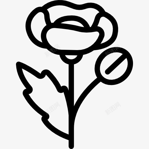 罂粟图标png_新图网 https://ixintu.com 园艺 春天花园 植物 自然 院子里