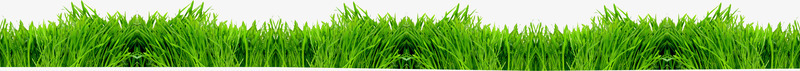 绿色草地植物户外png免抠素材_新图网 https://ixintu.com 户外 植物 绿色 草地
