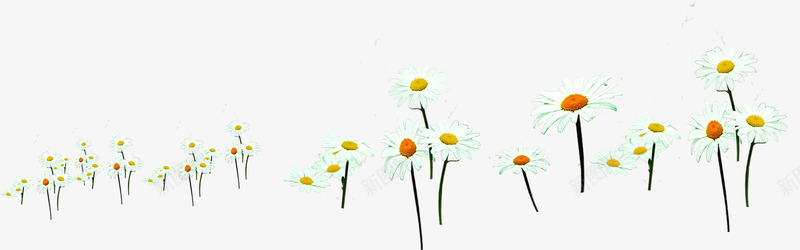 白色卡通花朵美景户外png免抠素材_新图网 https://ixintu.com 卡通 户外 白色 美景 花朵