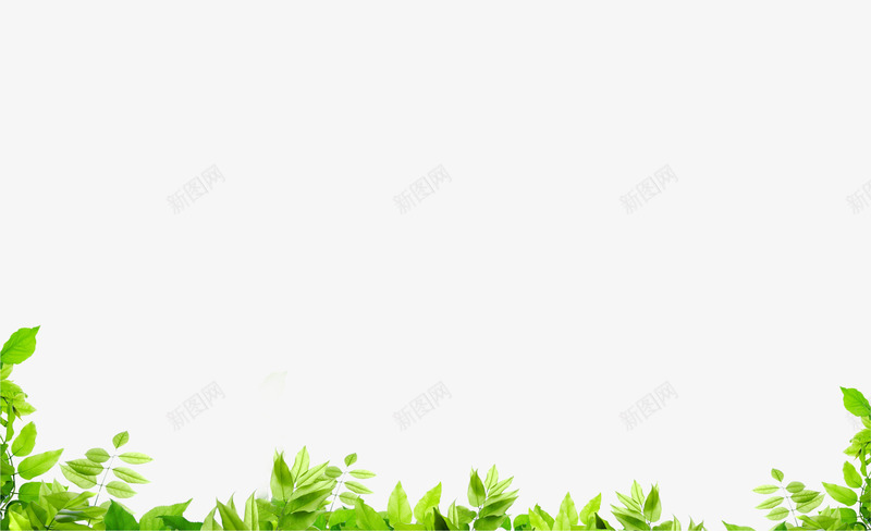 绿色简约草丛边框纹理png免抠素材_新图网 https://ixintu.com 免抠PNG 简约 绿色 草丛 边框纹理
