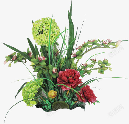 手绘插画植物草丛png免抠素材_新图网 https://ixintu.com 插画 植物 草丛