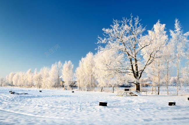 冬季户外公园雪景png免抠素材_新图网 https://ixintu.com 公园 冬季 户外 雪景