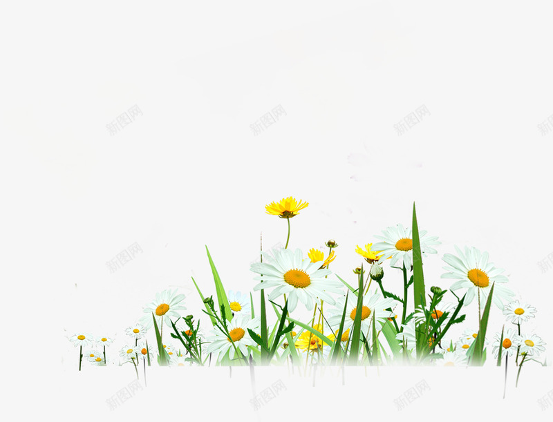 自然花朵户外美景png免抠素材_新图网 https://ixintu.com 户外 美景 自然 花朵