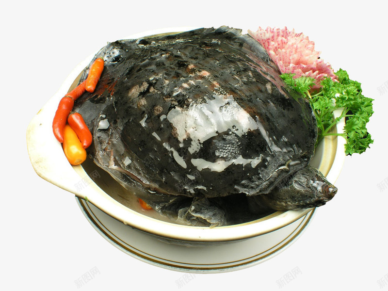 砂钵甲鱼png免抠素材_新图网 https://ixintu.com 产品实物 特色 甲鱼 砂钵甲鱼 砂钵甲鱼免抠 砂钵甲鱼免抠图片 砂钵甲鱼矢量 砂钵甲鱼矢量素材 素材 菜肴