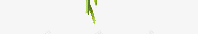 手绘花朵png免抠素材_新图网 https://ixintu.com 写实花卉 彩绘花卉 白色 花卉 花朵