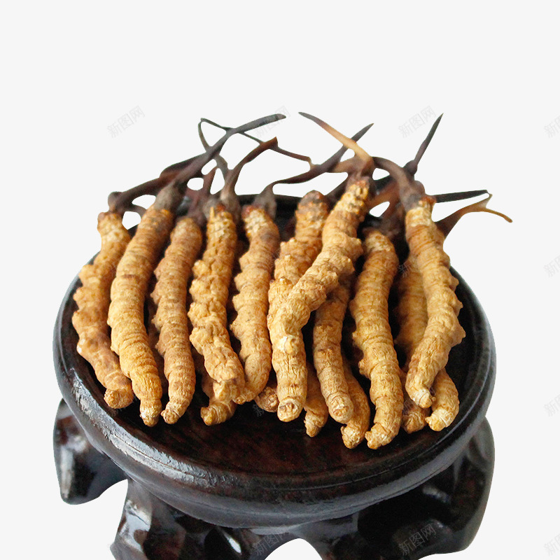中药材冬虫夏草png免抠素材_新图网 https://ixintu.com 中华人民共和国西藏自治区 中国西藏 中药 产品实物 断草 新草 纯天然 药材 虫草 西藏那曲 道地虫草 野生
