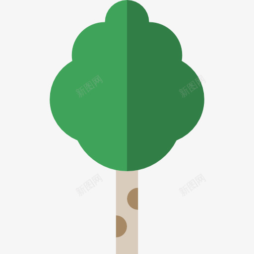 白桦图标png_新图网 https://ixintu.com 树 桦木 植物学 生态学 自然