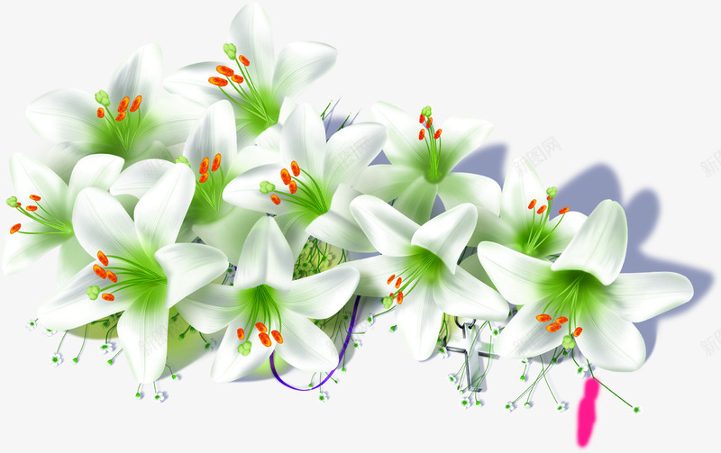 白色手绘卡通花朵纯洁png免抠素材_新图网 https://ixintu.com 卡通 白色 纯洁 花朵