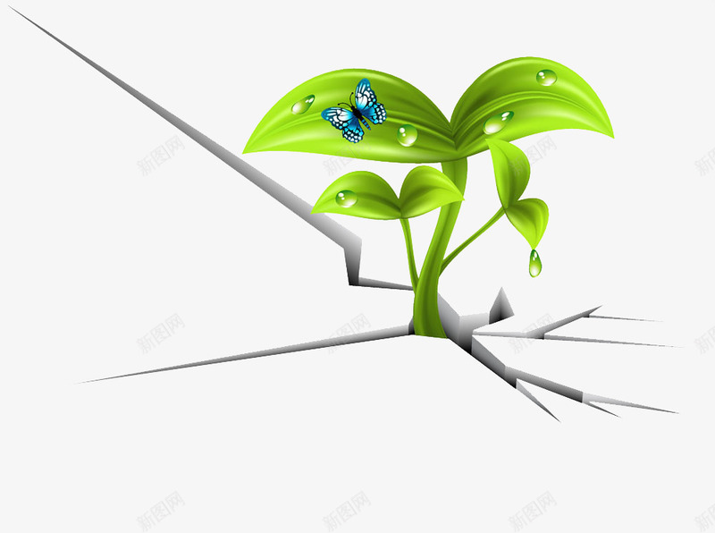 裂缝中的植物png免抠素材_新图网 https://ixintu.com 墙裂 手绘元素 绿色植物 蝴蝶 裂缝