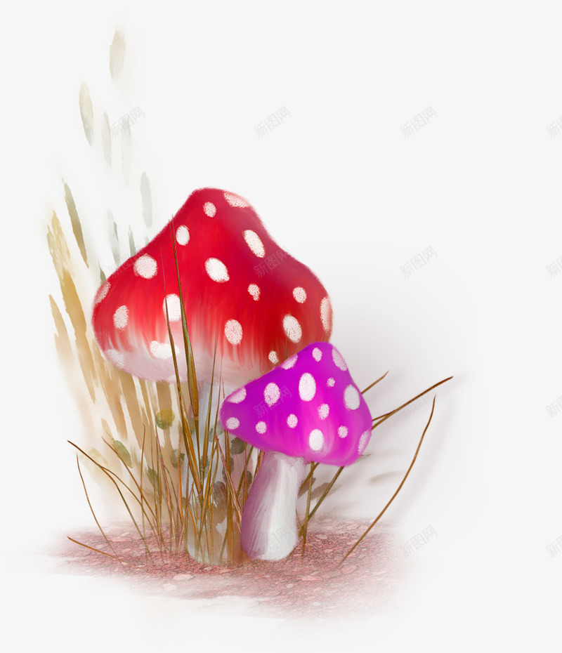 红色卡通蘑菇草丛装饰图案png免抠素材_新图网 https://ixintu.com 免抠PNG 卡通 红色 草丛 蘑菇 装饰图案