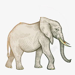 简单线条手绘大象素材