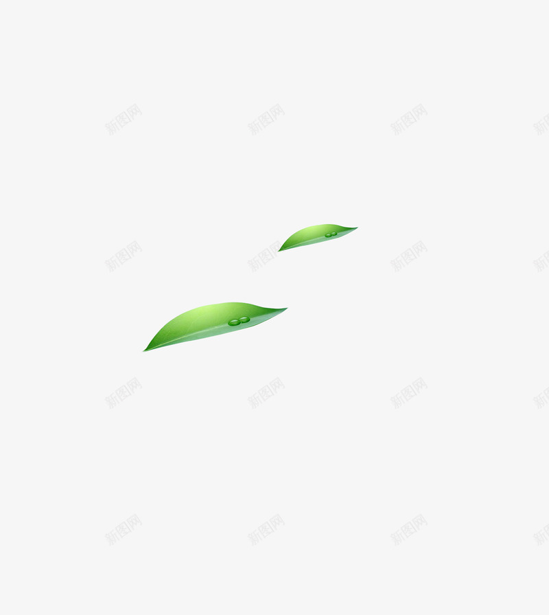 带露珠的叶子png免抠素材_新图网 https://ixintu.com 叶子 露珠