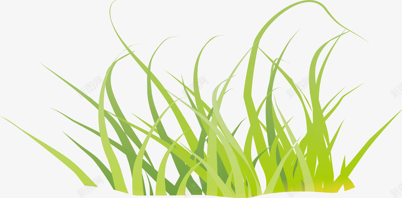麦苗png免抠素材_新图网 https://ixintu.com M麦苗 叶麦苗 唯美麦苗 大麦苗青 小麦苗 小麦苗字体 露珠 露珠小麦苗 麦苗 麦苗卡通