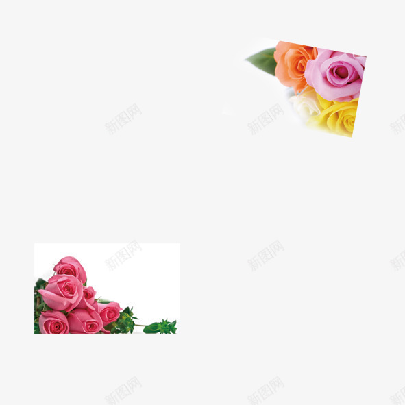 唯美花型装饰图png免抠素材_新图网 https://ixintu.com 唯美 策划 花型 装饰 边角