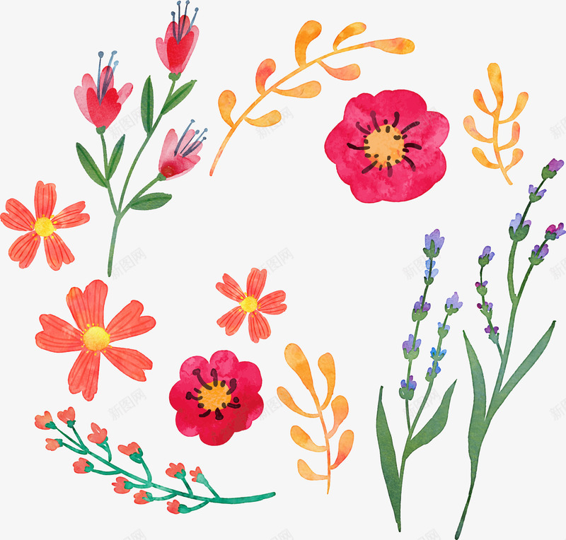 麦穗薰衣草矢量图eps免抠素材_新图网 https://ixintu.com 植物 红色 绿叶 麦穗 矢量图