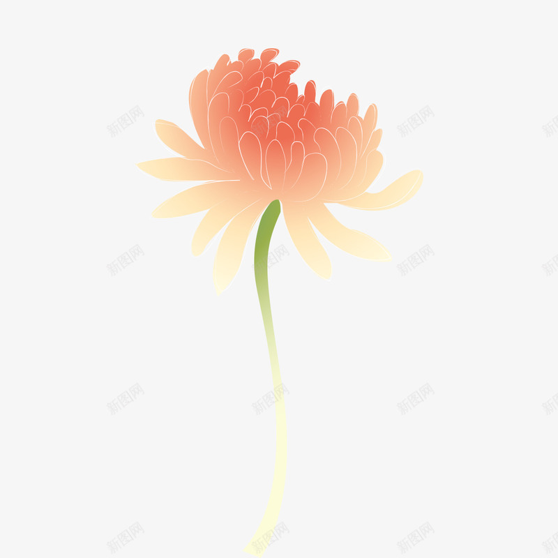 虹色花瓣渐无png免抠素材_新图网 https://ixintu.com 开放 盛开 花瓣 虹色
