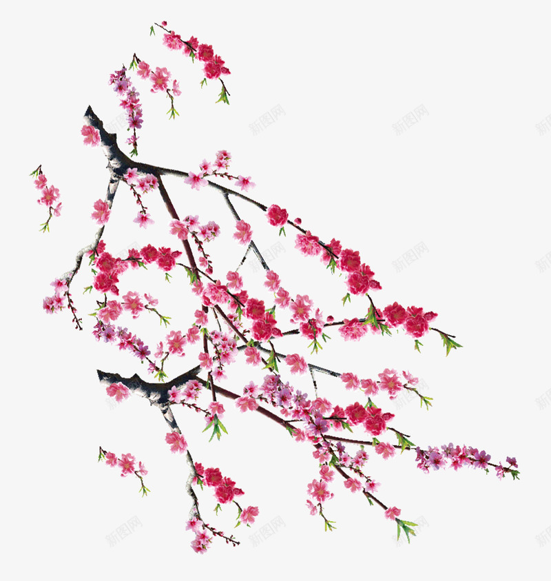 盛开桃花粉色装饰背景png免抠素材_新图网 https://ixintu.com 桃花粉色装饰背景 盛开桃花粉色背景 盛开桃花粉色装饰 盛开桃花粉色装饰背景