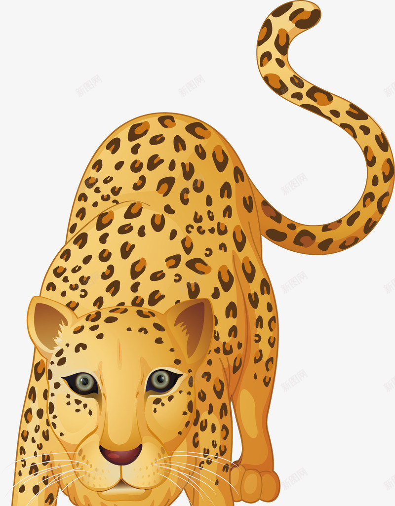 行动敏捷的豹子png免抠素材_新图网 https://ixintu.com 卡通花豹 矢量素材 花豹 豹子 速度 金钱豹
