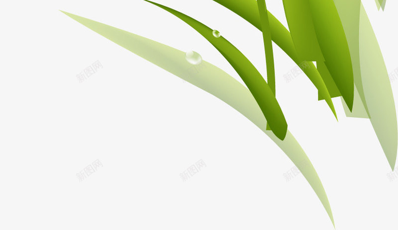 白色纯洁花朵植物卡通png免抠素材_新图网 https://ixintu.com 卡通 植物 白色 纯洁 花朵