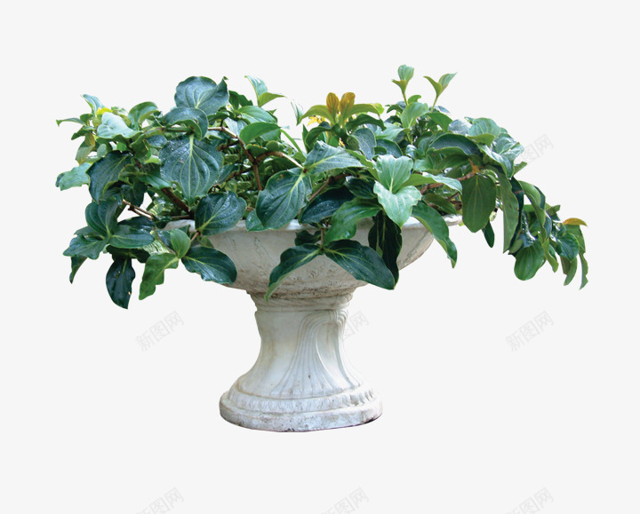 花园里的花坛png免抠素材_新图网 https://ixintu.com 叶子 植物 绿色 花园 花坛