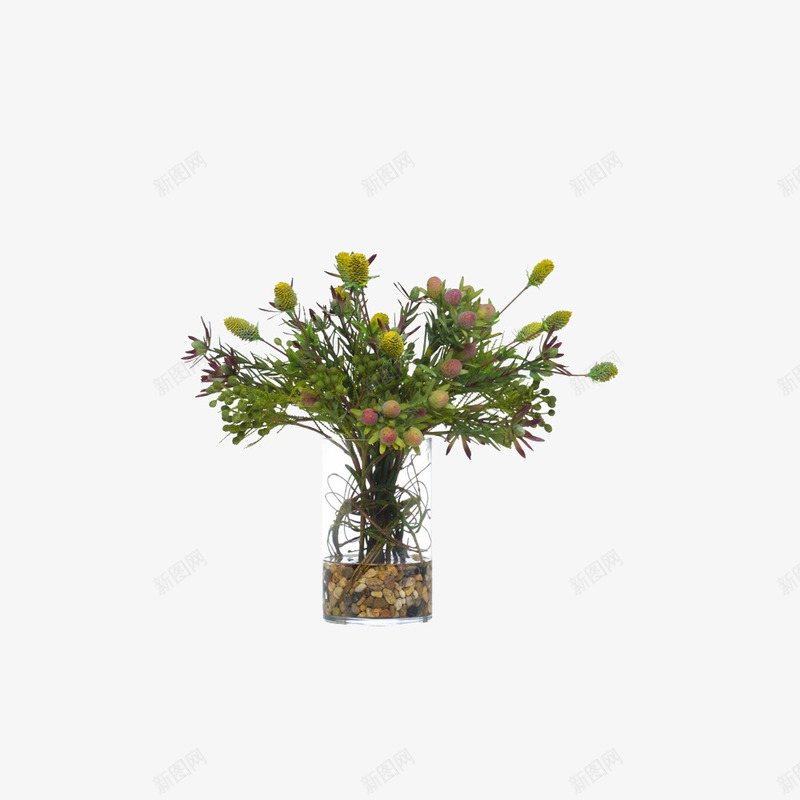 鲜花花盆png免抠素材_新图网 https://ixintu.com 室内装饰 清新 花盆 鲜花
