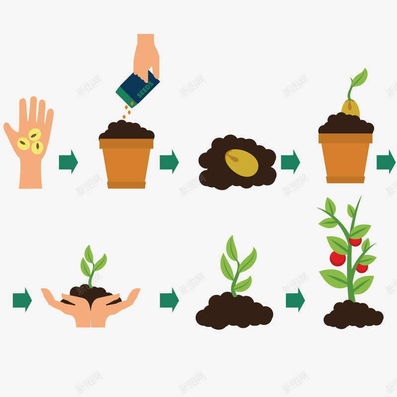 植树png免抠素材_新图网 https://ixintu.com 果实 植物 种植 花盆