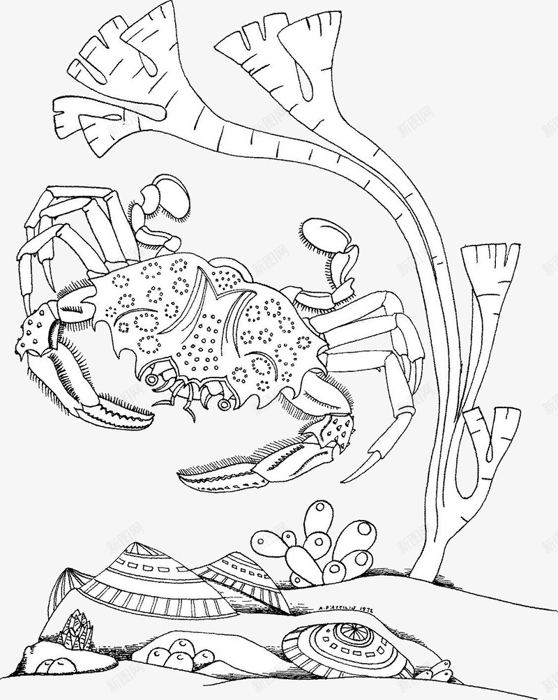 简笔画螃蟹png免抠素材_新图网 https://ixintu.com 动物 卡通 简笔画 螃蟹