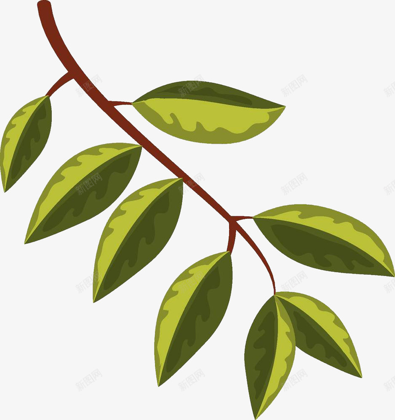 装饰插图树枝叶png免抠素材_新图网 https://ixintu.com 枝干 枝条 树叶 树叶枝 树枝 树枝叶 绿叶 装饰插图