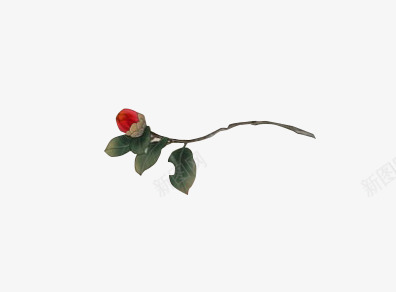 一枝玫瑰花骨朵png免抠素材_新图网 https://ixintu.com 玫瑰 红色 绿色 花骨朵