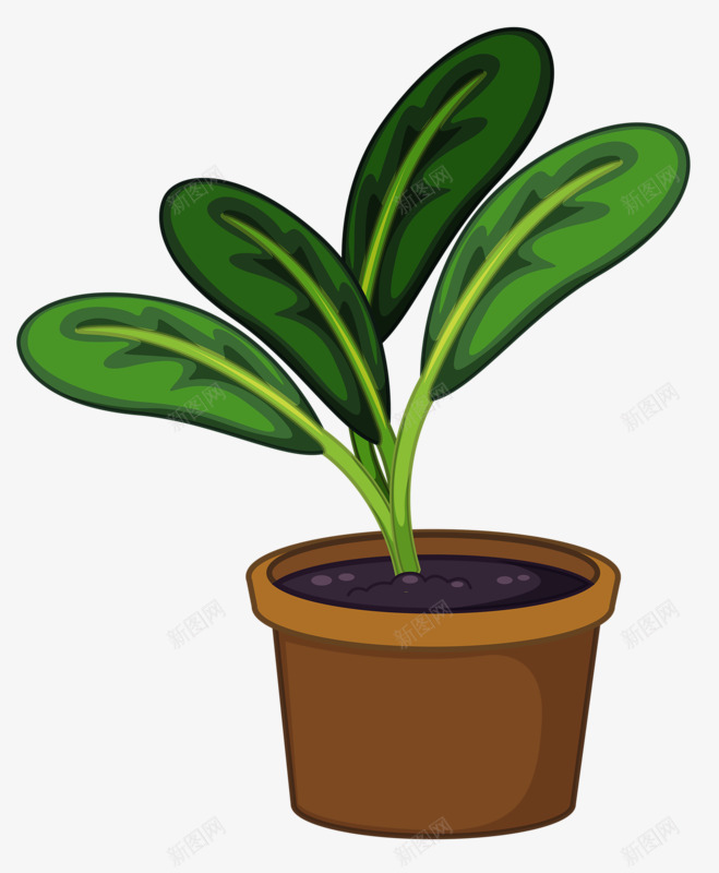 手绘花盆png免抠素材_新图网 https://ixintu.com 叶子 植物 盆景 绿色 花盆