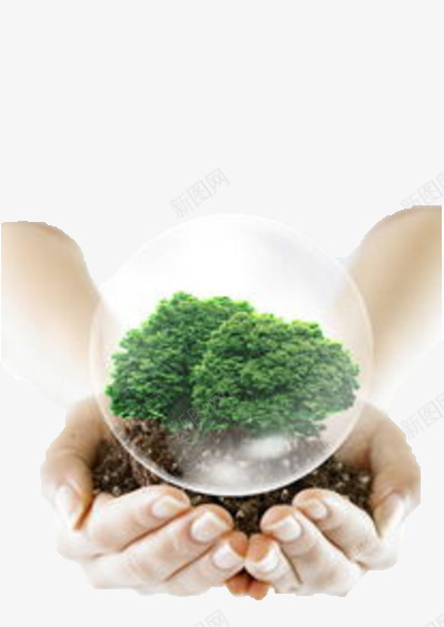双手呵护下的树木图标png_新图网 https://ixintu.com 双手 树木 气泡 绿色公益