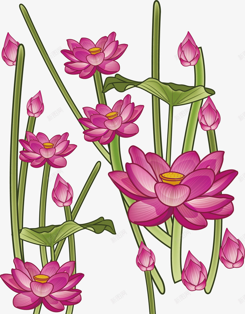 枚红色荷花矢量图ai免抠素材_新图网 https://ixintu.com 中国风 玫红荷花 矢量png 荷花 荷花塘 荷花花纹 矢量图