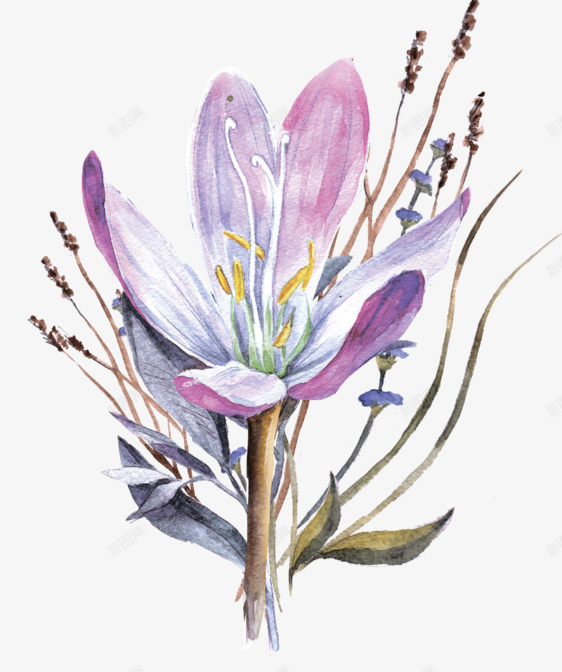 手绘花草花卉装饰png免抠素材_新图网 https://ixintu.com 包装设计 小清新花草装饰 文艺花草PPT制作 植物插画 海报设计 花草插画 花草装饰
